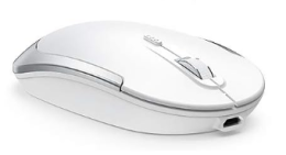 Wireless Mouse for PC (Silver & White)