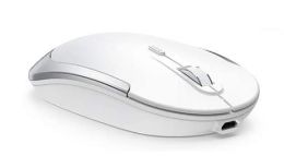 Wireless Mouse for PC (Silver & White)